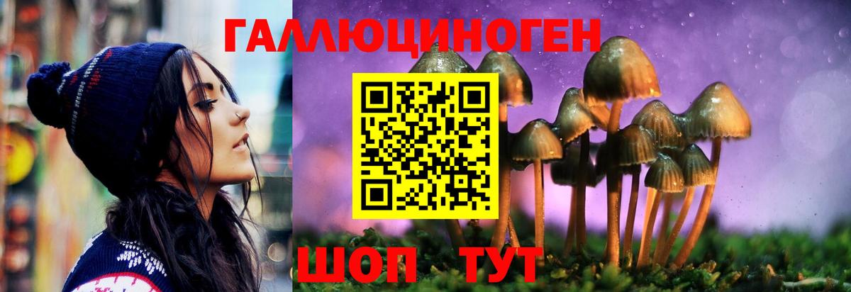Псилоцибиновые грибы Psilocybe  Вход с VPN  Павлово 